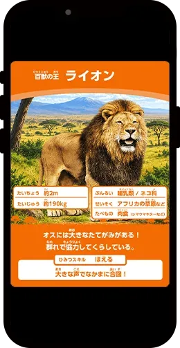 動物カード1