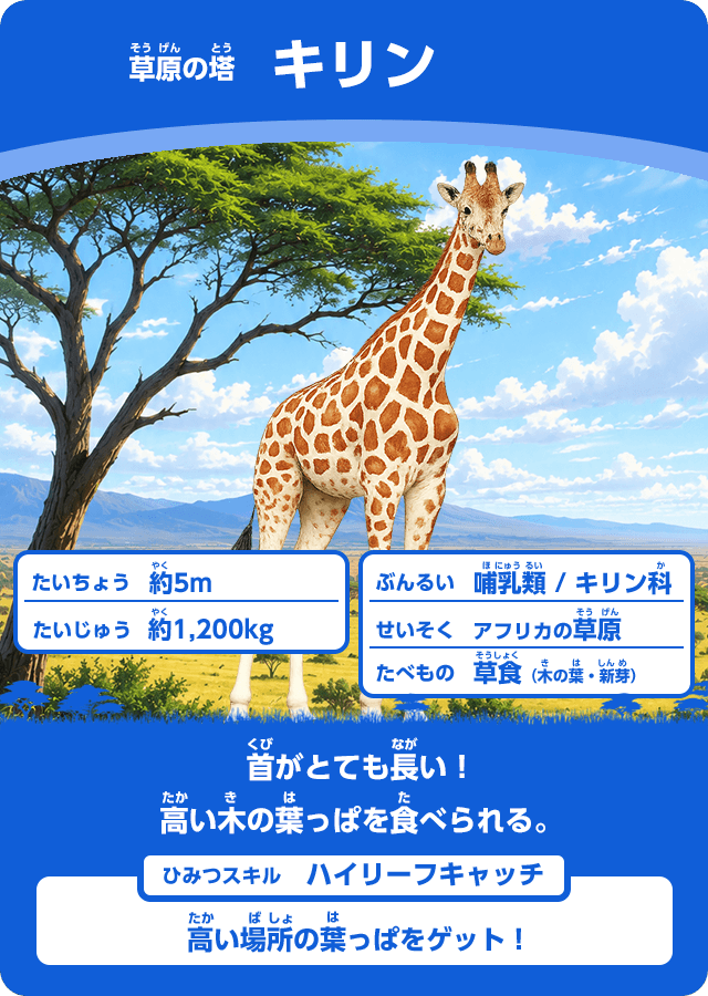 動物カード2