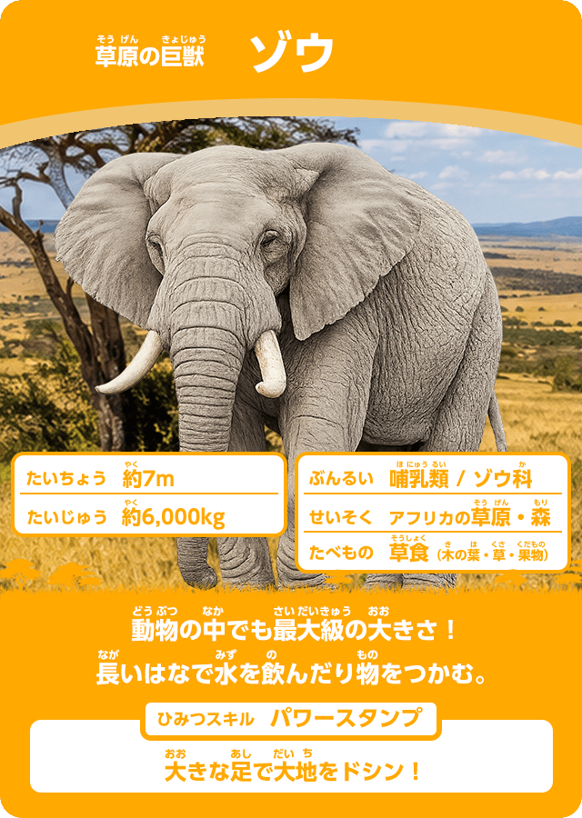 動物カード3