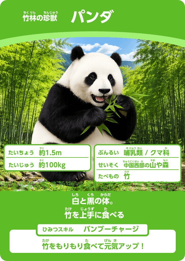動物カード4