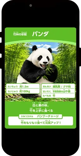動物カード4